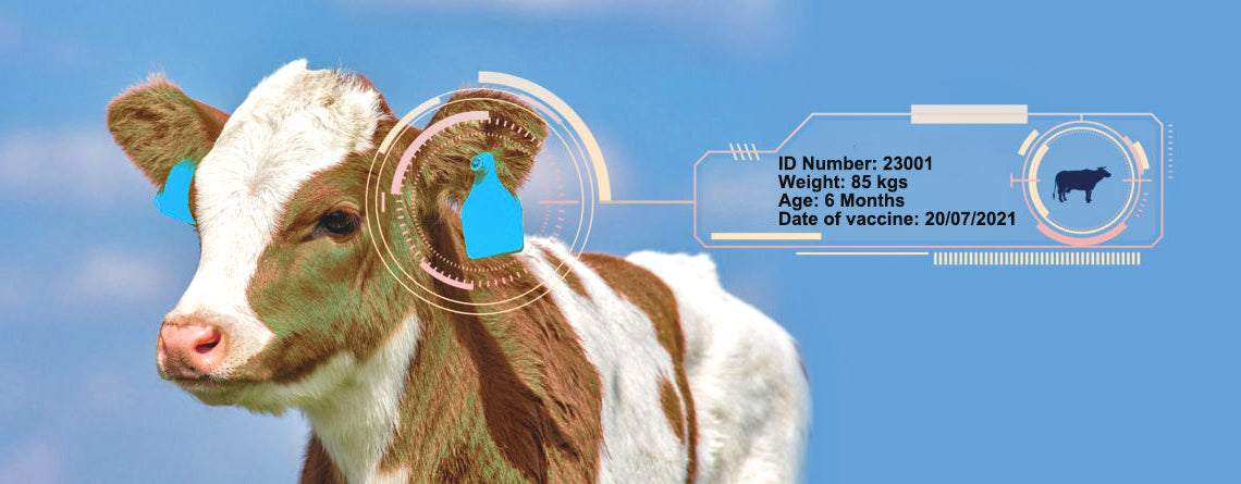 Why choose RFID animal ear tags as a management method?
