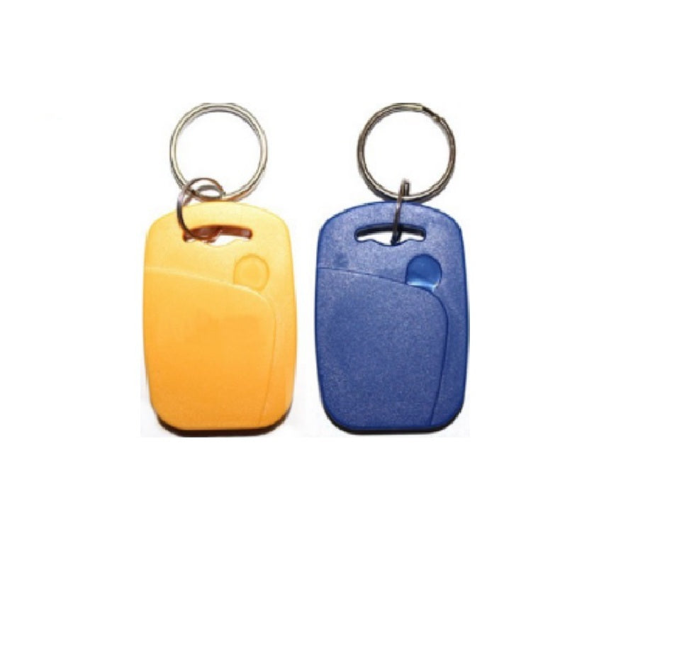 100PCS 125KHz RFID Passive Proximity Low Frequency Abs-001 Smart Access Control Keyfob/ Keychain/ Key Tag
