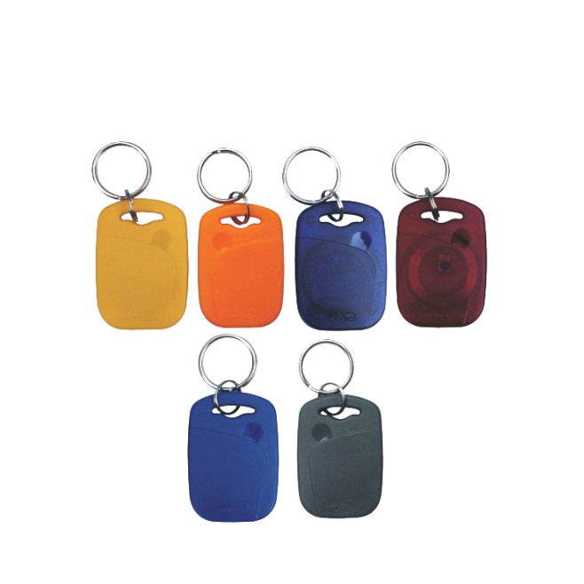 100PCS 125KHz RFID Passive Proximity Low Frequency Abs-001 Smart Access Control Keyfob/ Keychain/ Key Tag