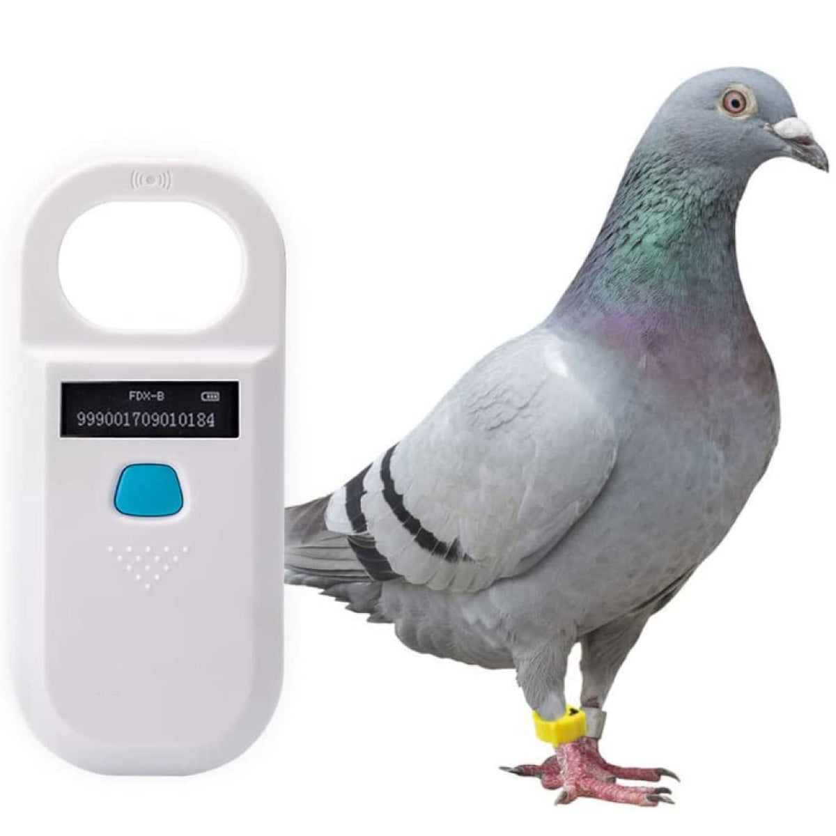 Pet Microchip Reader, RFID EMID Animal Handheld Reader