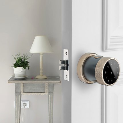 Smart Door Lock, Fingerprint Door Lock Keyless Entry Door Lock with Keypad
