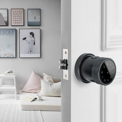 Smart Door Lock, Fingerprint Door Lock Keyless Entry Door Lock with Keypad